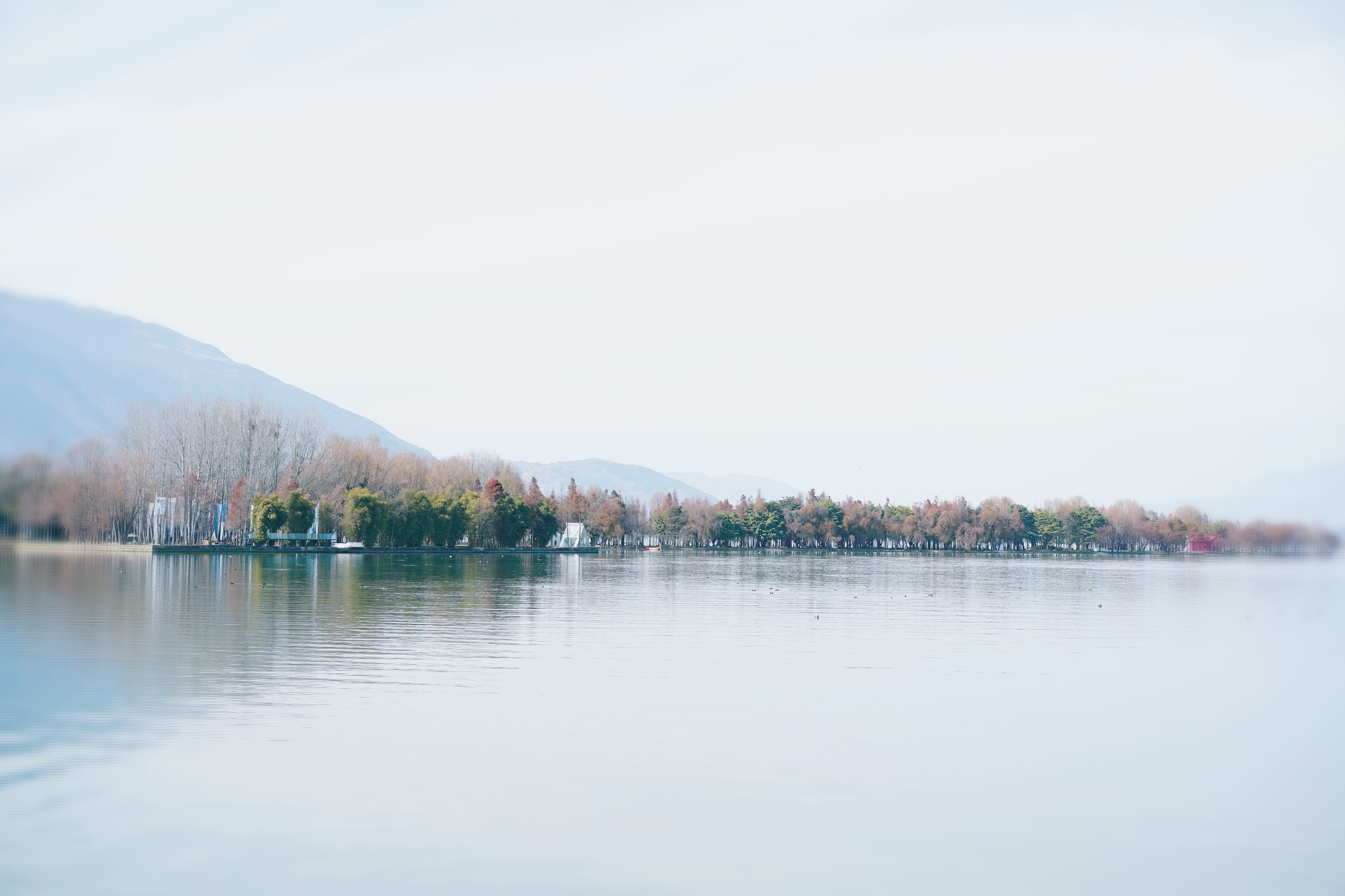 图片[5]-大理果然是一个去了一次还想再去的地方-江博客