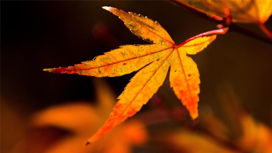 转载一位在北京工作朋友的动态-江博客