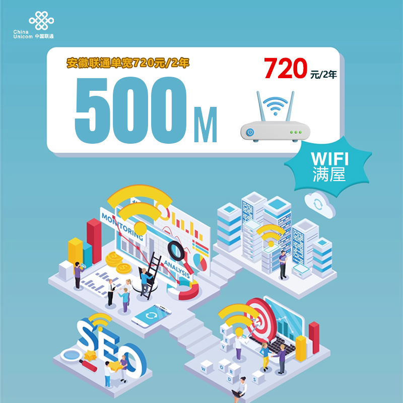 安徽联通单宽500M720元/2年-172号卡