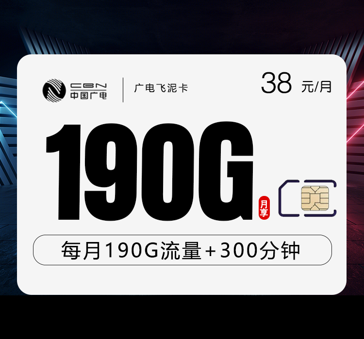 广电飞泥卡【38元190G+300分钟】-172号卡